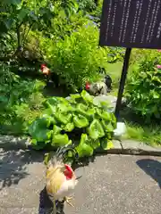 観音寺(京都府)