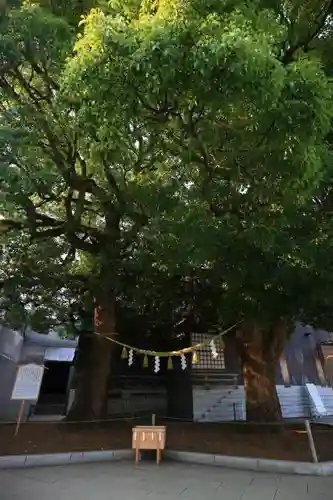 明治神宮のその他建物