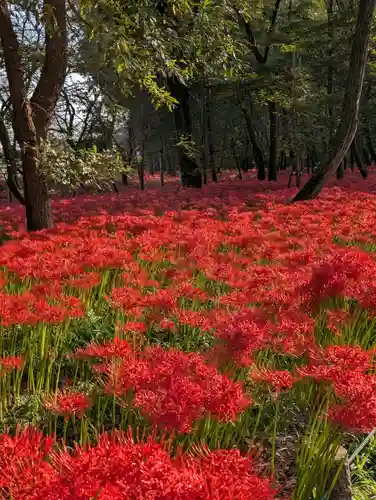高麗神社(埼玉県)