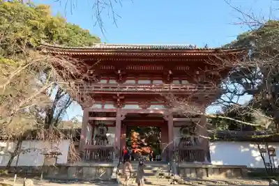 醍醐寺(京都府)