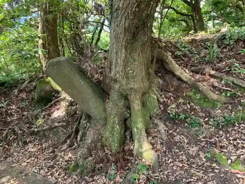 高藏神社の自然