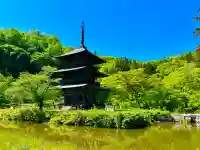 安久津八幡神社の{uncategorized: "未分類", other: "その他", undefined: "問題あり", building: "その他建物", grave: "お墓", sacred_gate: "鳥居", guardian: "狛犬", statue: "像", buddha: "仏像", history: "歴史", nature: "自然", garden: "庭園", animal: "動物", pagoda: "塔", temizu: "手水舎", mountain_gate: "山門・神門", sanctuary: "本殿・本堂", subordinate: "末社・摂社", art: "芸術", scenery: "景色", jizo: "地蔵", ema: "絵馬", goshuin: "御朱印", omikuji: "おみくじ", items: "授与品その他", amulet: "お守り", goshuincho: "御朱印帳", eats: "食事", festival: "お祭り", votive_dance: "神楽", shichigosan: "七五三参", wedding: "結婚式", experience: "体験その他", initially: "初詣", around: "周辺", anti_infection: "感染症対策"}