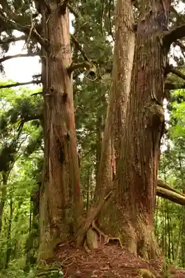 白山中居神社(岐阜県)