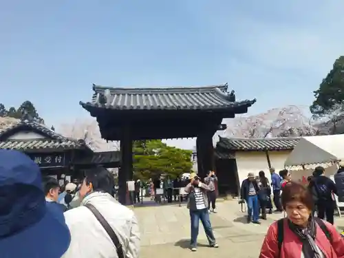 三宝院（三宝院門跡）(京都府)