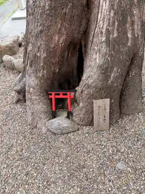 藤の森稲荷大神(兵庫県)