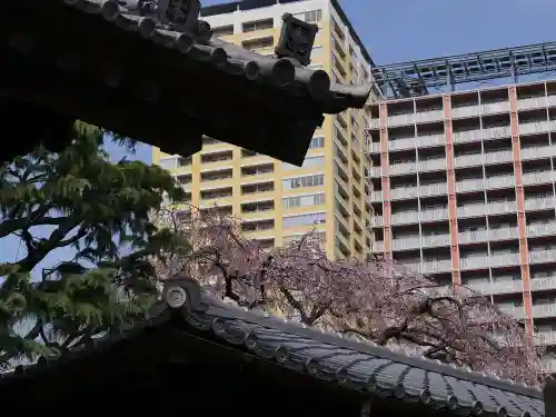 本行寺の芸術