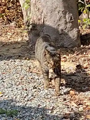 賀茂神社(兵庫県)
