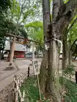橋本大鷲神社(神奈川県)