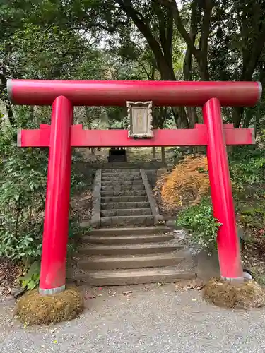 曽我浅間神社(静岡県)