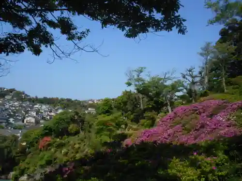 仏行寺（佛行寺）の景色