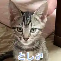 天王山 安楽寺(福井県)