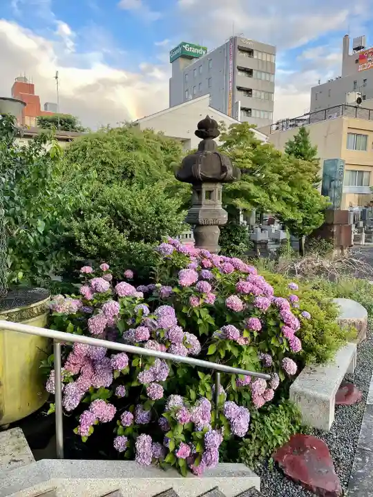 妙正寺(栃木県)