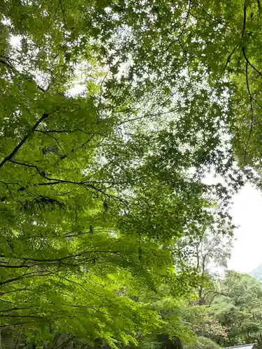 大山祇神社(伊勢神宮内宮)(三重県)