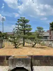 松應寺のお墓