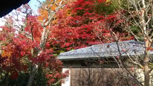 南禅寺のその他建物