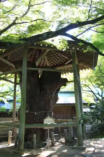 根香寺(香川県)