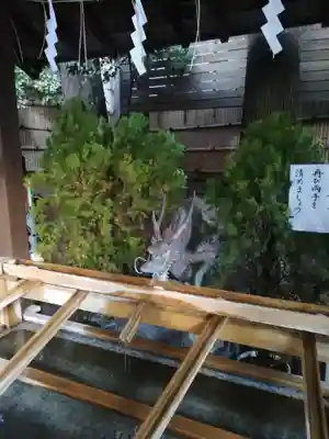 東京大神宮の手水舎