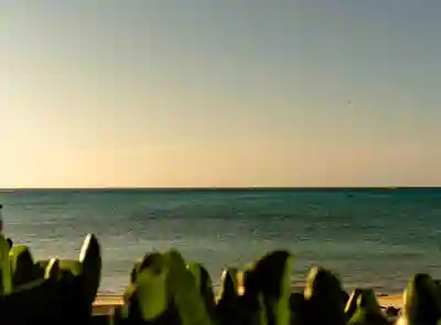 宮古神社(沖縄県)