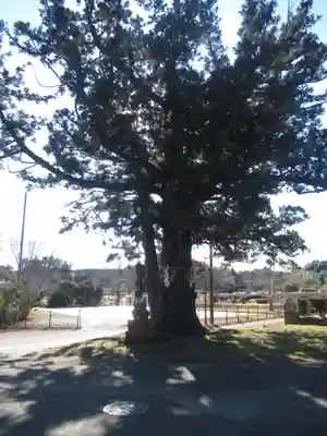 安穏寺(茨城県)