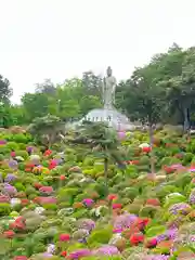 塩船観音寺(東京都)