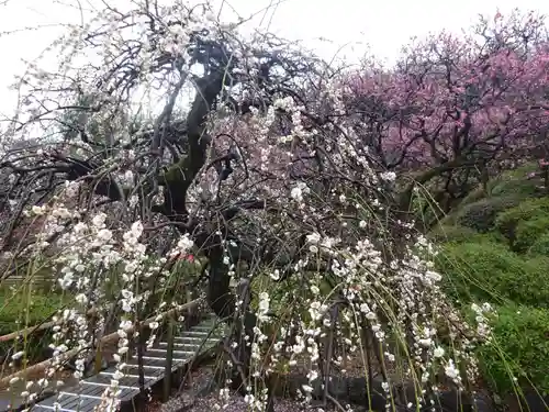 池上本門寺の庭園