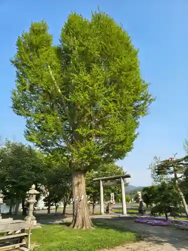 市来知神社(北海道)