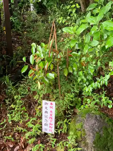 山神神社の自然