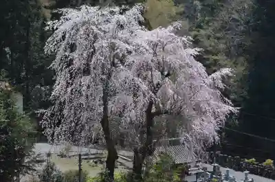 久遠寺(山梨県)