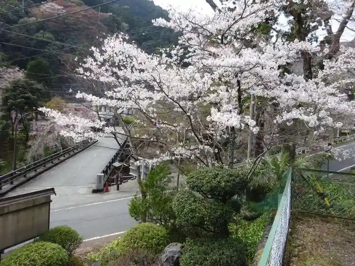 日蓮宗 総本山 塔頭 定林坊(じょうりんぼう)の自然