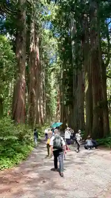 戸隠神社奥社(長野県)