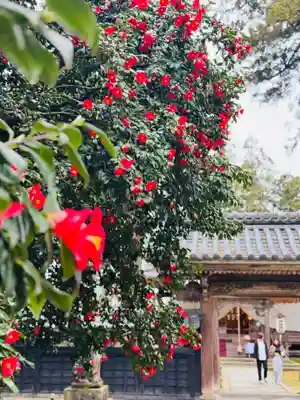 守りの神　藤基神社(新潟県)