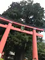 河口浅間神社の鳥居