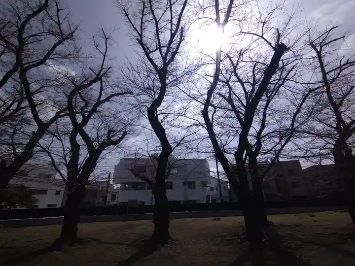 南蔵院(東京都)