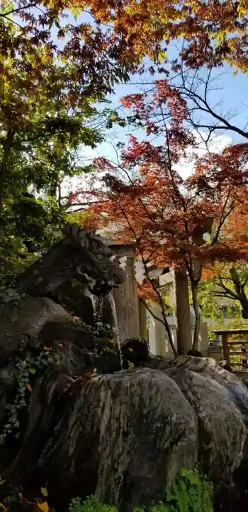 松戸神社の手水舎