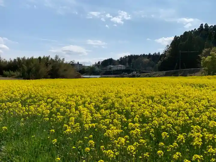 白山神社の周辺
