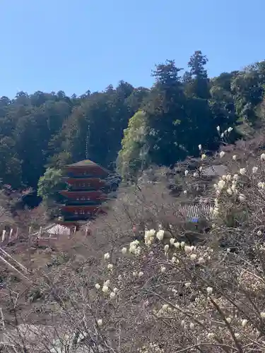 長谷寺(奈良県)