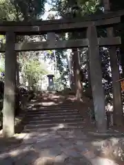 本宮神社（日光二荒山神社別宮）の鳥居