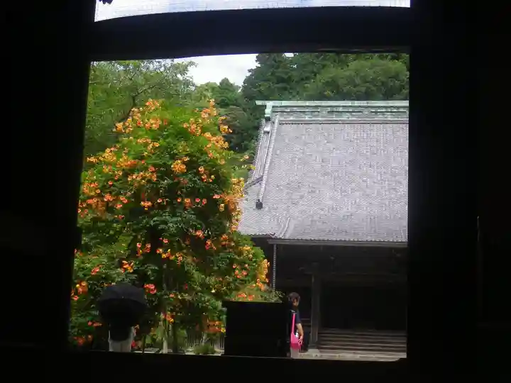 妙本寺のその他建物