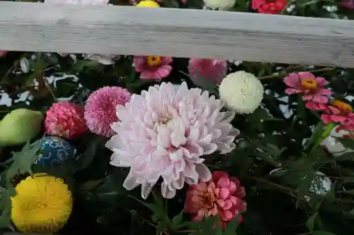 豊景神社の手水舎