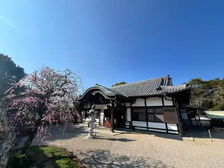 比佐豆知神社の{uncategorized: "未分類", other: "その他", undefined: "問題あり", building: "その他建物", grave: "お墓", sacred_gate: "鳥居", guardian: "狛犬", statue: "像", buddha: "仏像", history: "歴史", nature: "自然", garden: "庭園", animal: "動物", pagoda: "塔", temizu: "手水舎", mountain_gate: "山門・神門", sanctuary: "本殿・本堂", subordinate: "末社・摂社", art: "芸術", scenery: "景色", jizo: "地蔵", ema: "絵馬", goshuin: "御朱印", omikuji: "おみくじ", items: "授与品その他", amulet: "お守り", goshuincho: "御朱印帳", eats: "食事", festival: "お祭り", votive_dance: "神楽", shichigosan: "七五三参", wedding: "結婚式", experience: "体験その他", initially: "初詣", around: "周辺", anti_infection: "感染症対策"}