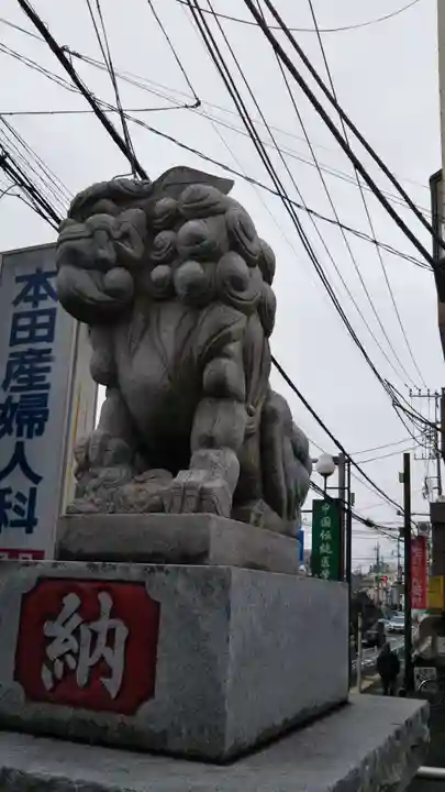 鎌ヶ谷八幡神社の狛犬