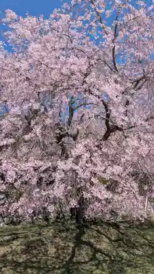 泰門庵(滋賀県)