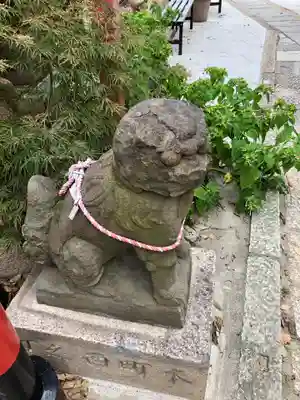 尼崎えびす神社の狛犬
