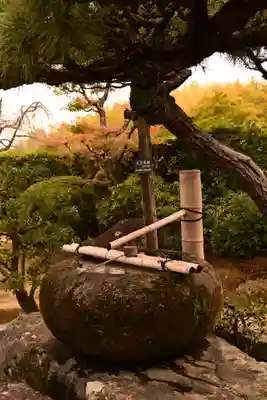 正法寺(京都府)