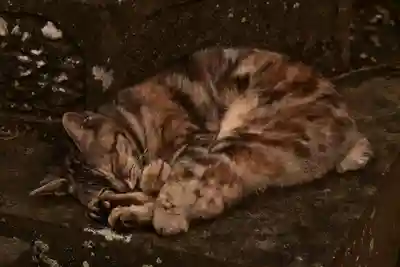 釋尊寺(長野県)