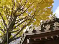 成願寺のその他建物