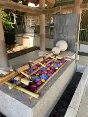 東郷神社(東京都)