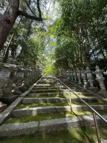 葛木坐火雷神社の{uncategorized: "未分類", other: "その他", undefined: "問題あり", building: "その他建物", grave: "お墓", sacred_gate: "鳥居", guardian: "狛犬", statue: "像", buddha: "仏像", history: "歴史", nature: "自然", garden: "庭園", animal: "動物", pagoda: "塔", temizu: "手水舎", mountain_gate: "山門・神門", sanctuary: "本殿・本堂", subordinate: "末社・摂社", art: "芸術", scenery: "景色", jizo: "地蔵", ema: "絵馬", goshuin: "御朱印", omikuji: "おみくじ", items: "授与品その他", amulet: "お守り", goshuincho: "御朱印帳", eats: "食事", festival: "お祭り", votive_dance: "神楽", shichigosan: "七五三参", wedding: "結婚式", experience: "体験その他", initially: "初詣", around: "周辺", anti_infection: "感染症対策"}