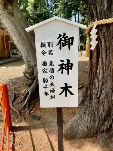 息栖神社(茨城県)