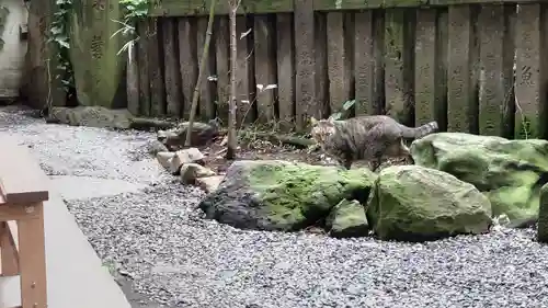 小野照崎神社の動物